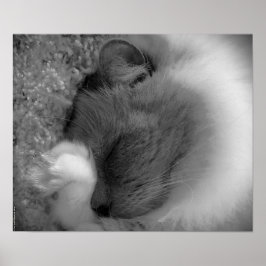 低速日、 ポスター