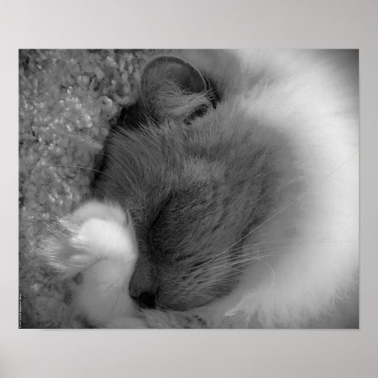 低速日、 ポスター (正面)