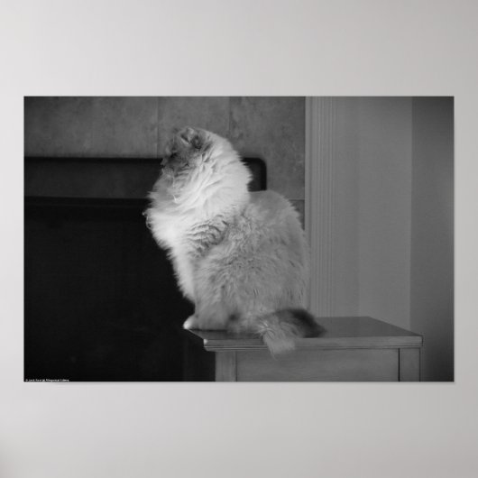 低速日、 ポスター (正面)