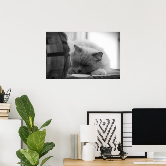 低速日、 ポスター (ホームオフィス)