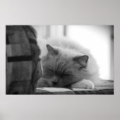 低速日、 ポスター (正面)