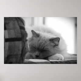 低速日、 ポスター