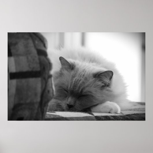 低速日、 ポスター (正面)