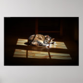 低速日、 ポスター (正面)