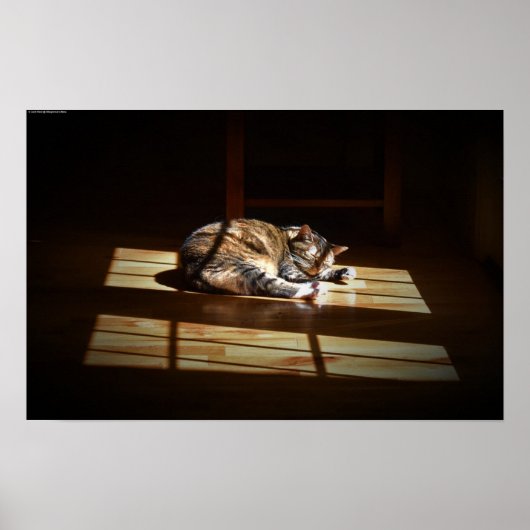 低速日、 ポスター (正面)