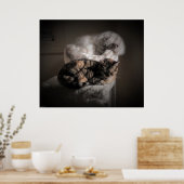 低速日、 ポスター (キッチン)