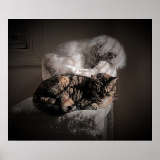 低速日、 ポスター (正面)