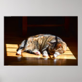 低速日、 ポスター (正面)