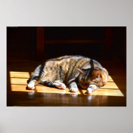 低速日、 ポスター