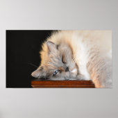 低速日、 ポスター (正面)