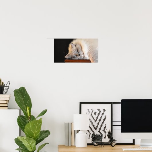 低速日、 ポスター (ホームオフィス)