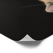 低速日、 ポスター (角)