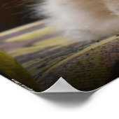 低速日、 ポスター (角)