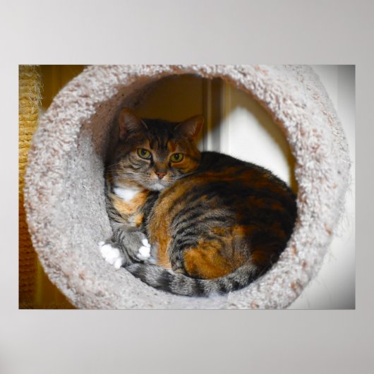 低速日、 ポスター (正面)