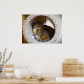 低速日、 ポスター (キッチン)