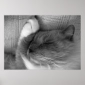 低速日、 ポスター (正面)