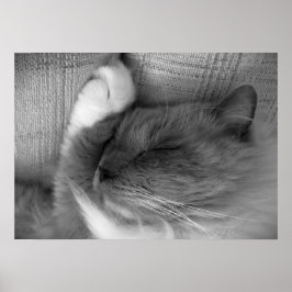 低速日、 ポスター