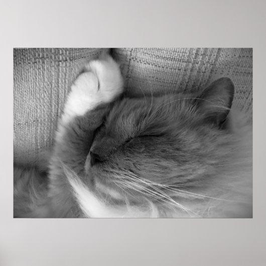 低速日、 ポスター (正面)