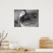 低速日、 ポスター (キッチン)