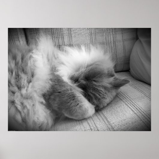 低速日、 ポスター (正面)