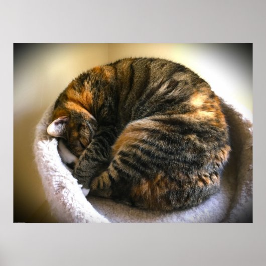 低速日、 ポスター (正面)