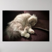 低速日、 ポスター (正面)