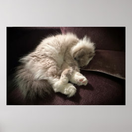 低速日、 ポスター