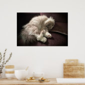 低速日、 ポスター (キッチン)