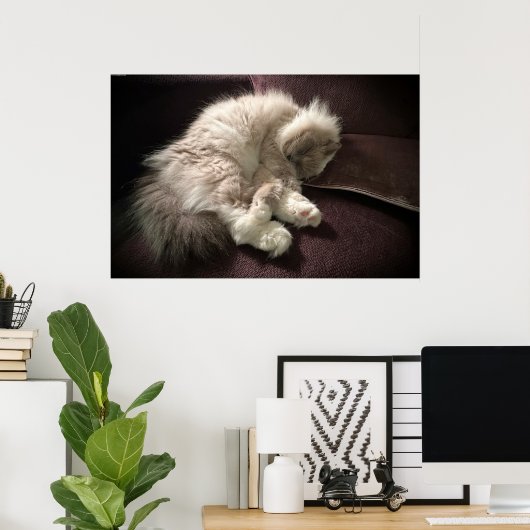 低速日、 ポスター (ホームオフィス)