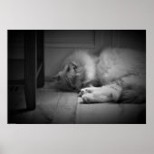 低速日、 ポスター (正面)