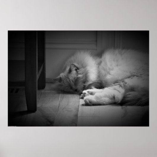 低速日、 ポスター (正面)