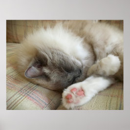 低速日、 ポスター