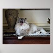 低速日、 ポスター (正面)