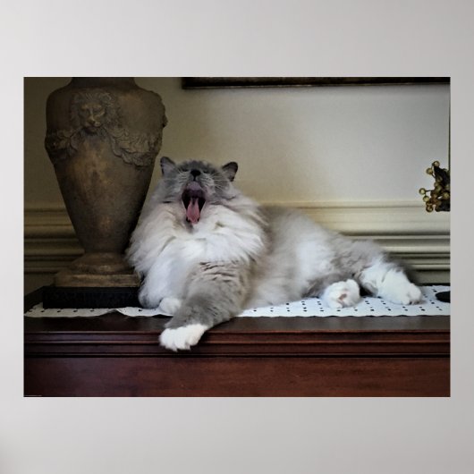 低速日、 ポスター (正面)