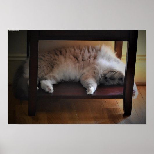 低速日、 ポスター (正面)