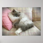 低速日、 ポスター (正面)