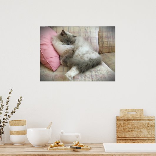 低速日、 ポスター (キッチン)