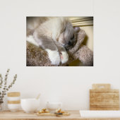 低速日、 ポスター (キッチン)