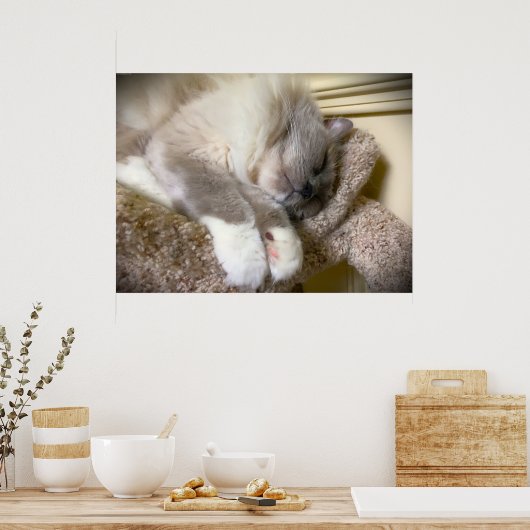 低速日、 ポスター (キッチン)