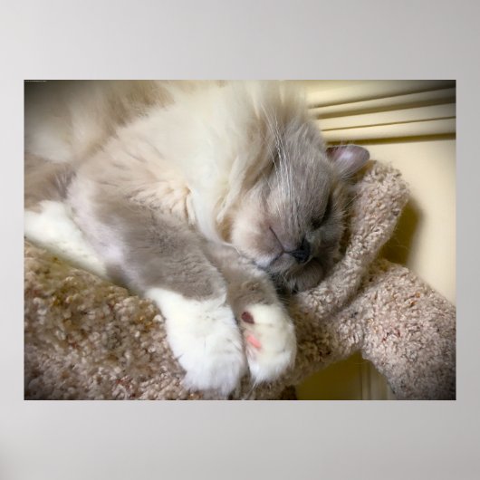 低速日、 ポスター (正面)