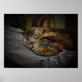 低速日、 ポスター (正面)