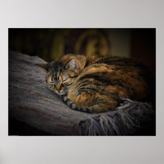 低速日、 ポスター (正面)