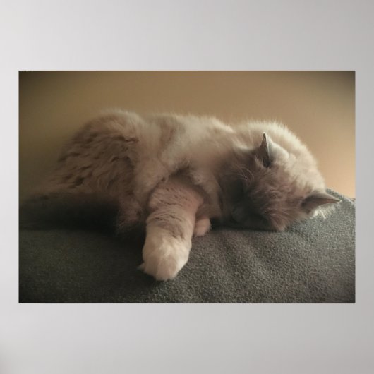 低速日、 ポスター (正面)