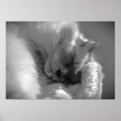 低速日、 ポスター (正面)