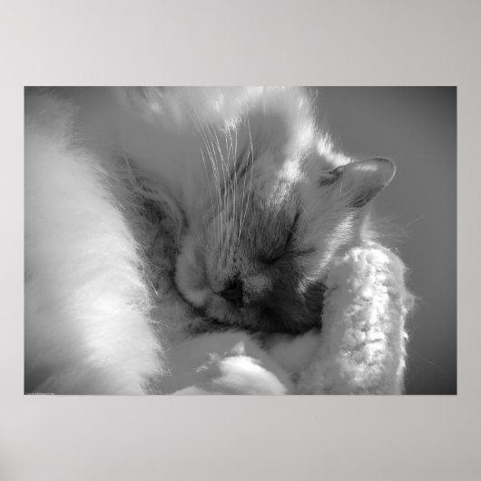 低速日、 ポスター (正面)