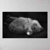 低速日、 ポスター (正面)