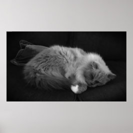 低速日、 ポスター