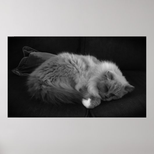 低速日、 ポスター (正面)