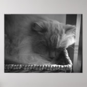 低速日、 ポスター (正面)