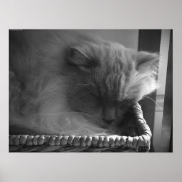 低速日、 ポスター